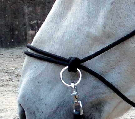 510155002_ambi_1 NORTON rope halter with reins - Image 1