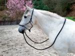 NORTON rope halter with reins - Image 4