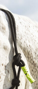 Knotenhalfter + Strick NORTON - Fun colour - Image 9