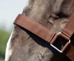 NORTON Coldblood Halter - Image 4
