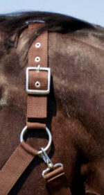NORTON Coldblood Halter - Image 5