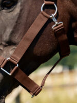 NORTON Coldblood Halter - Image 6