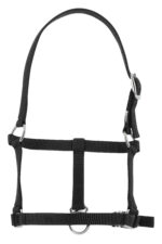 RIDING WORLD Foal headcollar