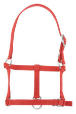 RIDING WORLD Foal headcollar - Image 2