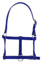 RIDING WORLD Foal headcollar - Image 3