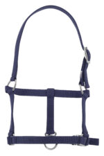 RIDING WORLD Foal headcollar - Image 4