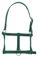 RIDING WORLD Foal headcollar - Image 5