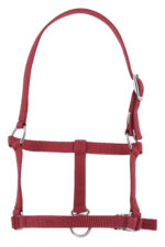 RIDING WORLD Foal headcollar - Image 6