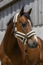 NORTON Halter - Cosy - Image 3