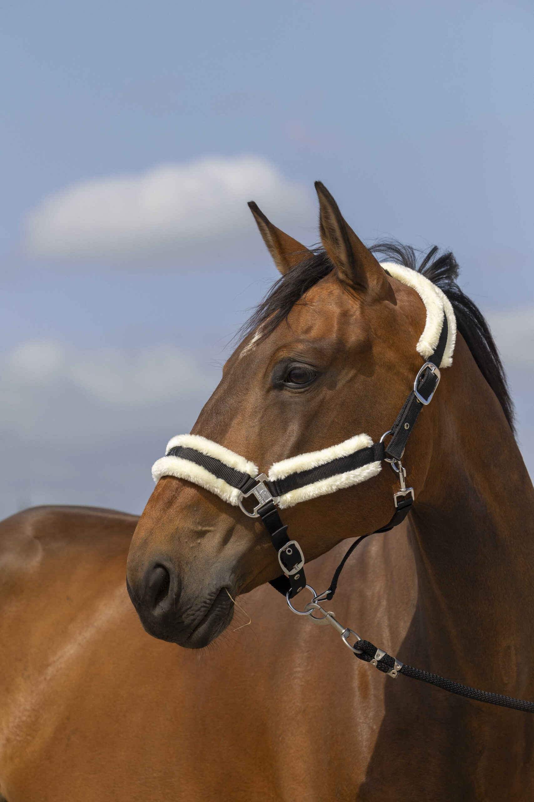 EQUITHÈME Halter - Nylon sheepskin