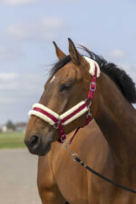 EQUITHÈME Halter - Nylon sheepskin - Image 7