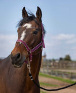 EQUITHÈME Halter - Nylon light - Image 12