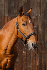 EQUITHEME - Domino - Nylon Halter - Image 12