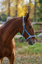 EQUITHEME - Spring - Nylon Halter - Image 2