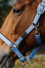 EQUITHEME - Spring - Nylon Halter - Image 3