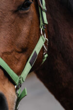 EQUITHEME - Spring - Nylon Halter - Image 6