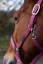 EQUITHEME - Spring - Nylon Halter - Image 13