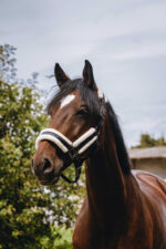 EQUITHÈME Nylonhalfter - Fashion