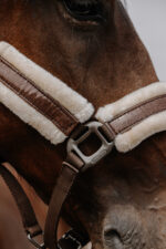 EQUITHÈME Nylonhalfter - Fashion - Image 6