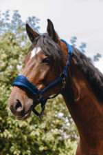 EQUITHÈME Nylonhalfter – 3D Mesh - Image 3