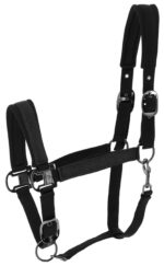 Licol EQUITHÈME - Glowy<fpäitsed - Image 3