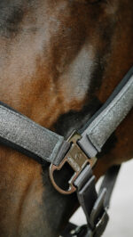 Licol EQUITHÈME - Glowy<fpäitsed - Image 5