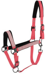 Licol EQUITHÈME - Glowy<fpäitsed - Image 10