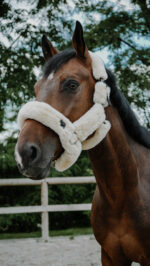 EQUITHÈME Je t'aime Halter – Snuggy - Image 8