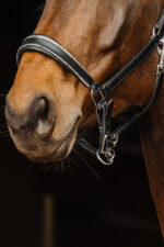 NORTON - Rock - Leather Halter - Image 2