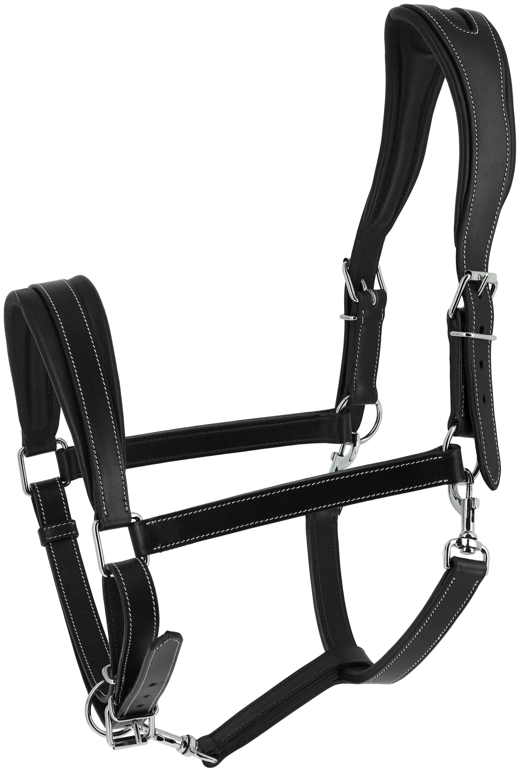 Halfter NORTON - Ardennes