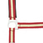 Nylon halter NORTON - Lined with neoprene - Image 12