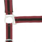 Nylon halter NORTON - Lined with neoprene - Image 14