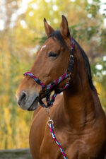 EQUITHÈME Halter + Lead rope set - Braided - Image 4