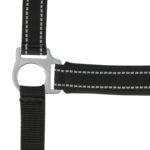 NORTON - Reflective - Headcollar - Image 4