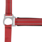 NORTON - Reflective - Headcollar - Image 7