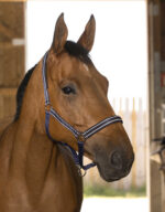 NORTON - Reflective - Headcollar - Image 13
