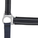 NORTON - Reflective - Headcollar - Image 15