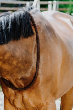 Ethologischer Neckring von NORTON - Image 9