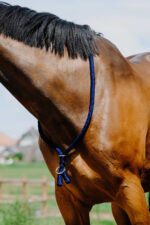 Ethologischer Neckring von NORTON - Image 11