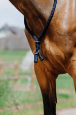 Ethologischer Neckring von NORTON - Image 15