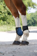 RIDING WORLD Fetlock Boots - Image 2