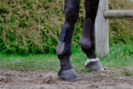 RIDING WORLD boots - Image 3