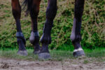 RIDING WORLD boots - Image 4