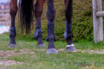 RIDING WORLD boots - Image 8