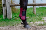 RIDING WORLD boots - Image 14