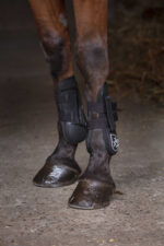 Gaiters NORTON - XTR - Image 2