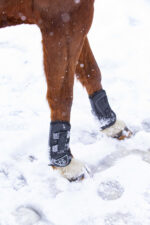 Gaiters NORTON - XTR - Image 3