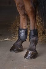 Fetlock boots NORTON - XTR - Image 2