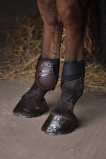 Fetlock boots NORTON - XTR - Image 10