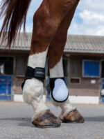 NORTON Fetlock Boots